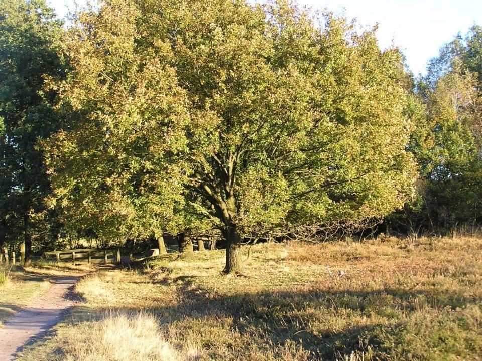 City-Apparte One Zentrales & Komfortables Wohnen In Gronau Gronau  Dış mekan fotoğraf
